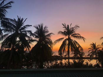 Silhouette palm trees by swimming pool against sky during sunset