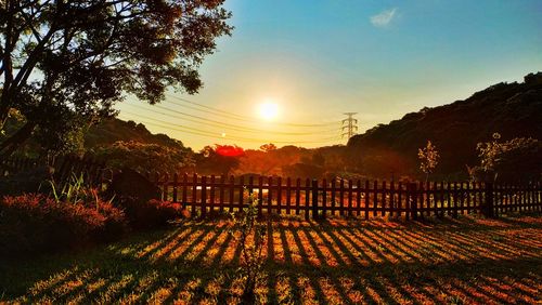 Scenic view of field against sky during sunset