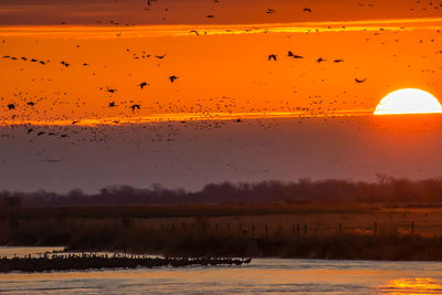 Scenic view of orange sky during sunset