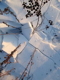 High angle view of snow