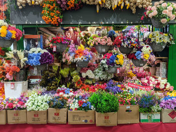 Flowers in pot for sale
