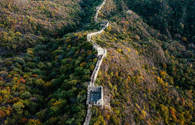 High angle view of road amidst trees in forest