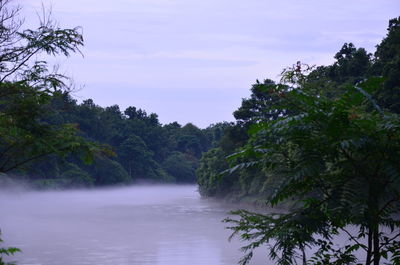 Scenic view of river amidst trees against sky