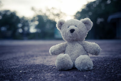 Close-up of stuffed toy on road