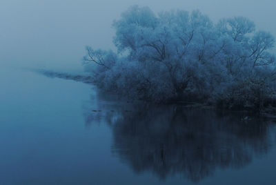 Trees by lake against sky
