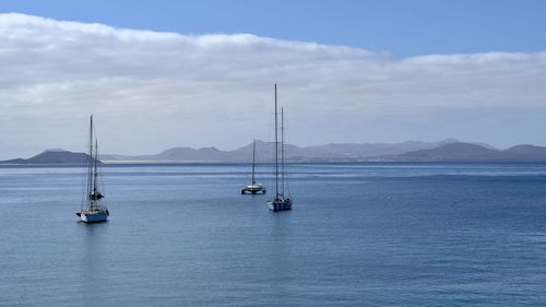Sailboat sailing on sea against sky