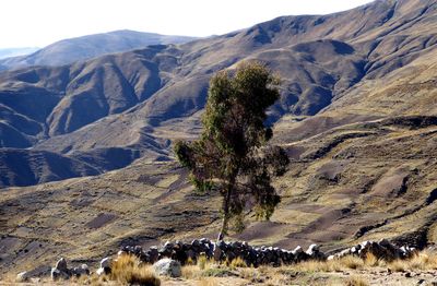 Scenic view of mountains