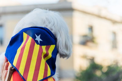 Rear view of person against flag