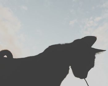 Silhouette horse against sky