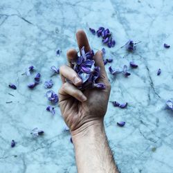 Cropped image of hand with purple flowers