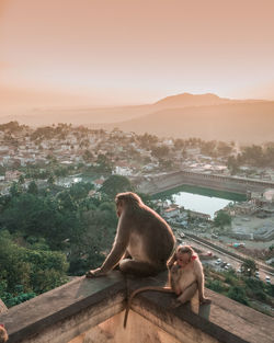 Monkey sitting on mountain against sky