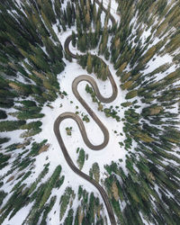 High angle view of road amidst snow covered trees