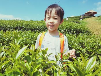 Portrait of boy smiling while standing at tea plantation