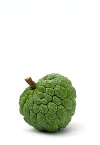 Close-up of green leaf against white background