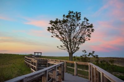 Scenic view of landscape at sunset