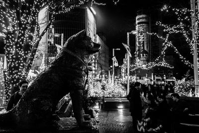 Statue of dog in illuminated city at night during christmas