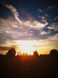 Silhouette of trees at sunset