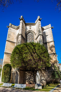 Low angle view of tree by building against clear blue sky