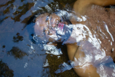 High angle view of fish in sea