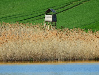 View of agricultural field