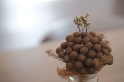 Close-up of wilted flower on table