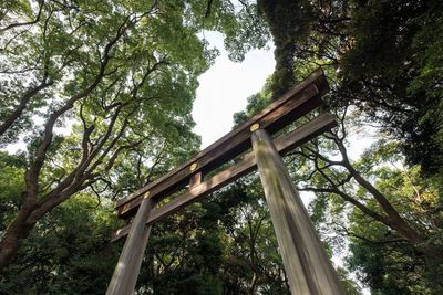 Low angle view of cross amidst trees in forest