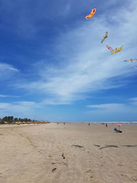 Low angle view of kites flying over beach against sky
