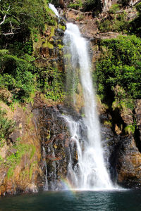 Scenic view of waterfall in forest