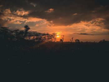 Silhouette trees on field against sky during sunset