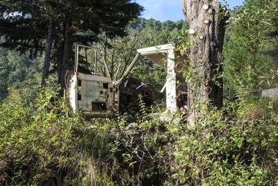 Abandoned vehicle amidst plants and trees in forest