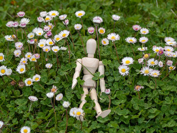 Close-up of white flowering sculpture on field