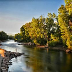 High angle view of person standing by river