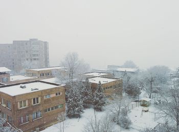 Snow covered trees in winter