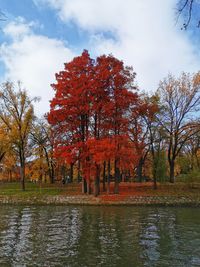 Trees by lake against sky during autumn