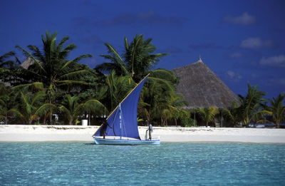 Men sailing boat in sea against blue sky