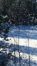 Scenic view of snow covered landscape