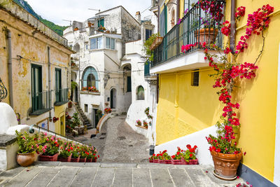 A street in albori, italian village of amalfi coast.