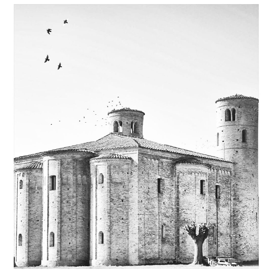 flying, building exterior, architecture, built structure, bird, city, history, outdoors, no people, day, large group of animals, sky