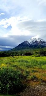 Scenic view of field against sky