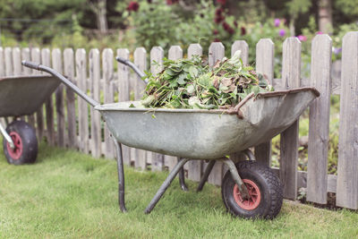 Wheelbarrow full of weeds at farm