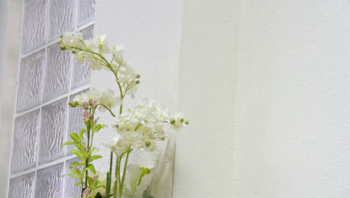 Close-up of white flower vase against wall