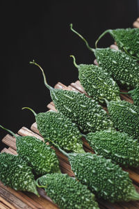 Close-up of leaves against black background
