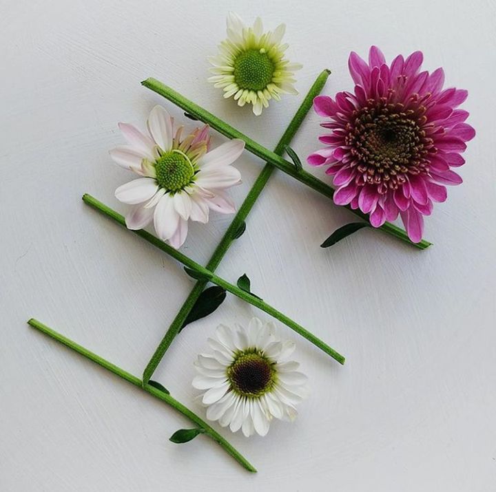 flower, fragility, flower head, nature, freshness, petal, no people, close-up, indoors, plant, beauty in nature, day