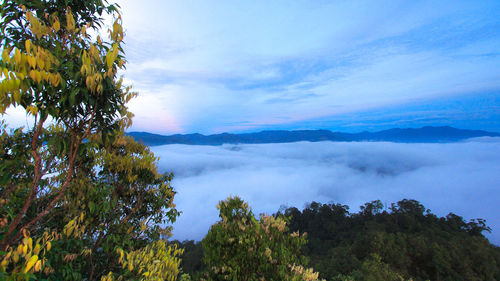 Scenic view of tree mountains against sky