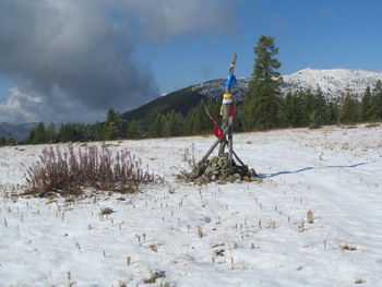 Man standing on snowcapped mountain against sky