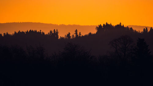 Scenic view of silhouette trees against orange sky