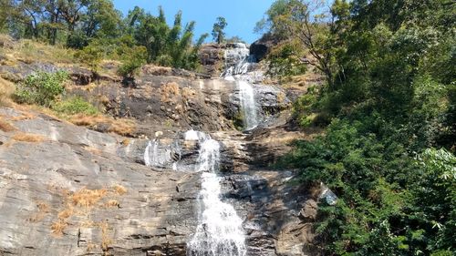 Scenic view of waterfall in forest