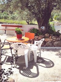 Empty chairs and table in yard