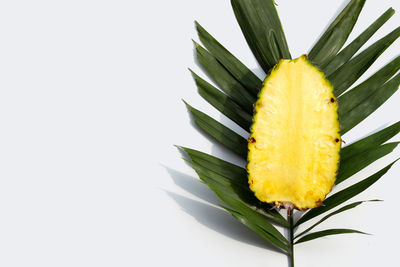 Close-up of fruit against white background