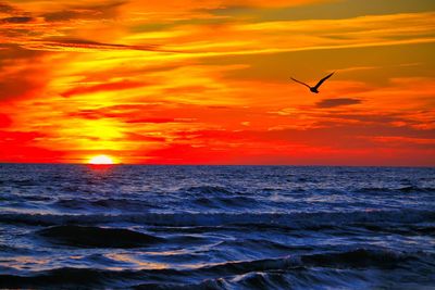 Bird flying over sea against orange sky